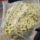 에덴셀프 | W6. 서울 가성비 웨딩촬영 셀프 부케 후기 ㅣ 남대문 꽃시장 에덴화원