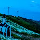 영남목장 이미지