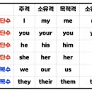 대명사 이미지