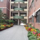 대전매봉초등학교 이미지