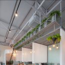 카페 Rest 이미지