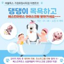 버블독스 가정루원시티점 이미지