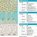 연금저축 활용법 이미지