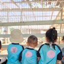 세정어린이집 이미지