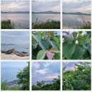 은행농장(염소) 이미지