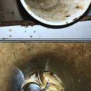 용인한얼초등학교 | 헬게이트 오픈! 우리 집 하수구 막혔을 때 찐 후기