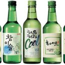 노가니 이미지