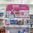 코끼리 동물약국 이미지