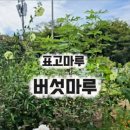 (유)제일산업 | 서울근교 나들이 아이와 가볼만한곳 시흥 버섯 체험농장 후기 |표고마루 버섯랜드