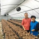 박은숙농장 이미지