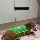 지은이네 민박 이미지