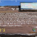 장끗 티스토리