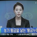 YTN 이미지