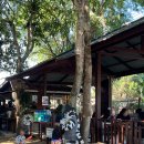 카이 호스텔 | 빠이여행 로컬 식당 맛집 솔직후기(쩜윳카우만까이, 교자퀸, 아침밥으로 좋은 노상닭죽, Yellow curry...