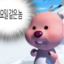 호랑이 초밥 이미지