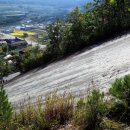 신성리 공룡발자국 이미지
