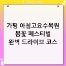 하경글로벌 | 가평 아침고요수목원 봄꽃 페스티벌, 완벽한 서울근교 드라이브 코스 총정리!