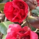 반석농장2 이미지