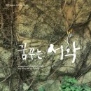 서학동예술마을 이미지