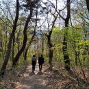 백화산둘레길 이미지