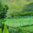 파트라슈반려견학교 이미지