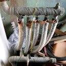 시락 소포마을 이미지