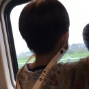 매디앤스티치