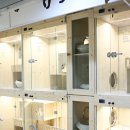 개와냥이동물병원 이미지