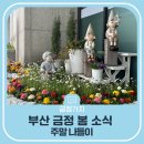 금정우체국 | 부산 금정 봄 소식, 벚꽃 명소 주말나들이