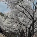 금풍공예