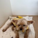 럭셔리 뽑기샵 이미지