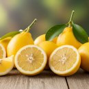 씨유제주건강관리협회점 | 제주 레몬 집중조명 (청정재배, 건강효과, 인기이유)