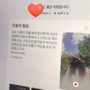 정관마취통증의학과의원 이미지