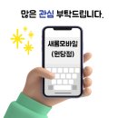 카카오 동물병원 | 방문 후기 메이플동물병원 근처 카카오톡 어플 핸드폰...내돈내산 솔직 후기 핸드폰케이스 아라동 완정...