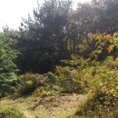 서전공인중개사사무소 이미지