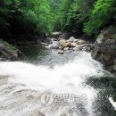 (주)천마여행사 이미지