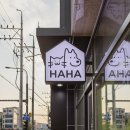 베스트동물병원 이미지