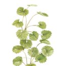 베스트건강메디칼 이미지