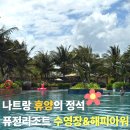 서브스포츠 | [나트랑 퓨전리조트] 인생샷 성지! 메인 수영장 & 서브 수영장 완벽 비교 후기