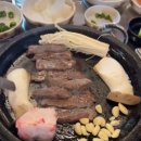 이마트24 함안칠원점 | [함안 여행] 조금 늦게 찾아간 함안 강주 해바라기 마을, 그래도 함께여서 좋았던 날 🌻