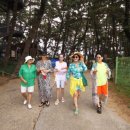 장항산들애 영농조합법인 | 박원숙의 같이 삽시다 서천 사선가 찾은 매실 명인 홍쌍리 씨 매실청 파는곳