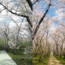 웅동수원지 이미지