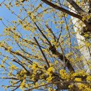 (주)수호천사복지센터 | 사회복지사 실습 후기 10일차 재가복지센터에서 느낀 현실과 배운 점