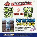 양지켄넬 Daum카페