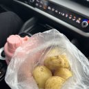 대변해변2 | 글리우프라뷔 / 레이니스파라 / 레이니스드랑가르 / 디르홀레이 / 검은 모레 해변 / 스코가포스