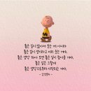 빠박이생고기