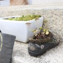 강릉 보현사 십육나한도 이미지