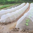 나라바이오 주식회사 이미지