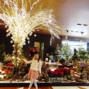 꼼꼼키친 이미지