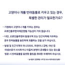 우리아이동물메디컬센터 네이버블로그